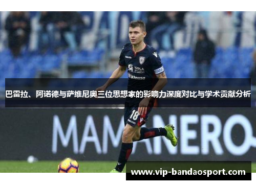 巴雷拉、阿诺德与萨维尼奥三位思想家的影响力深度对比与学术贡献分析