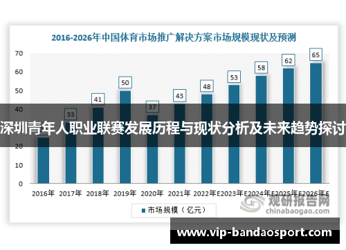 深圳青年人职业联赛发展历程与现状分析及未来趋势探讨