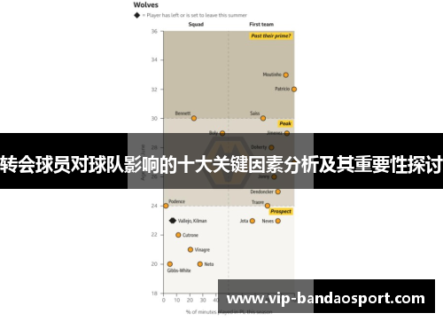 转会球员对球队影响的十大关键因素分析及其重要性探讨