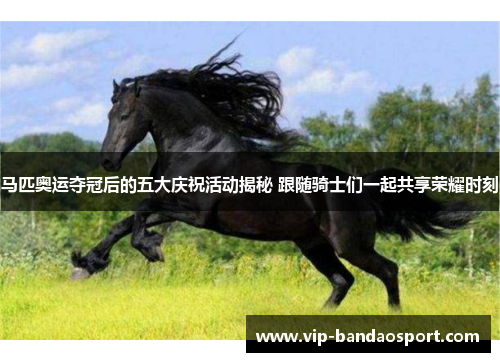 马匹奥运夺冠后的五大庆祝活动揭秘 跟随骑士们一起共享荣耀时刻