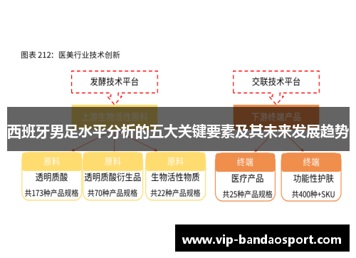 西班牙男足水平分析的五大关键要素及其未来发展趋势