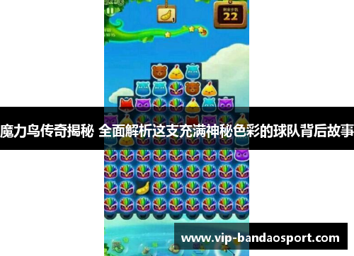魔力鸟传奇揭秘 全面解析这支充满神秘色彩的球队背后故事